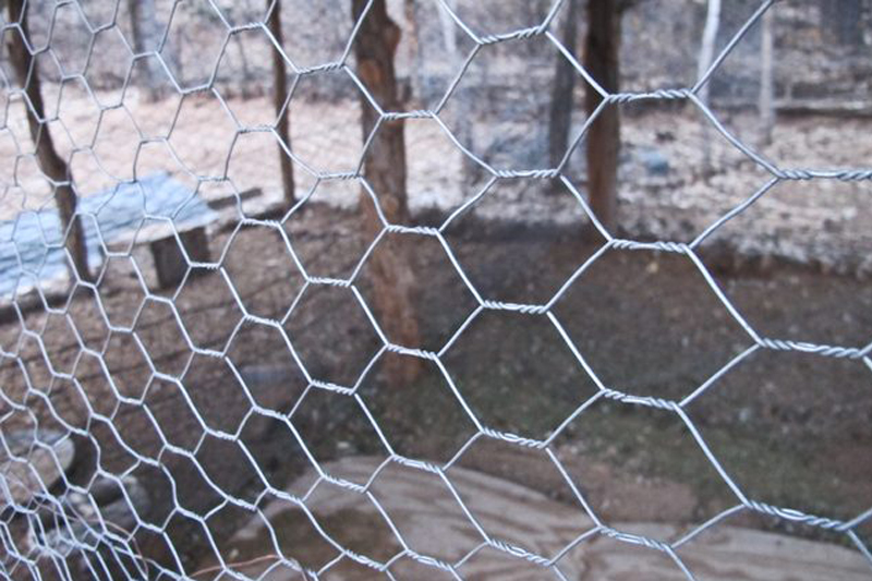 World Wire Hexnetting