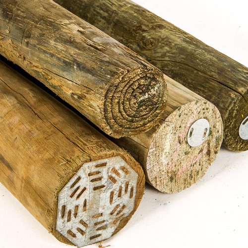 Treated Poles